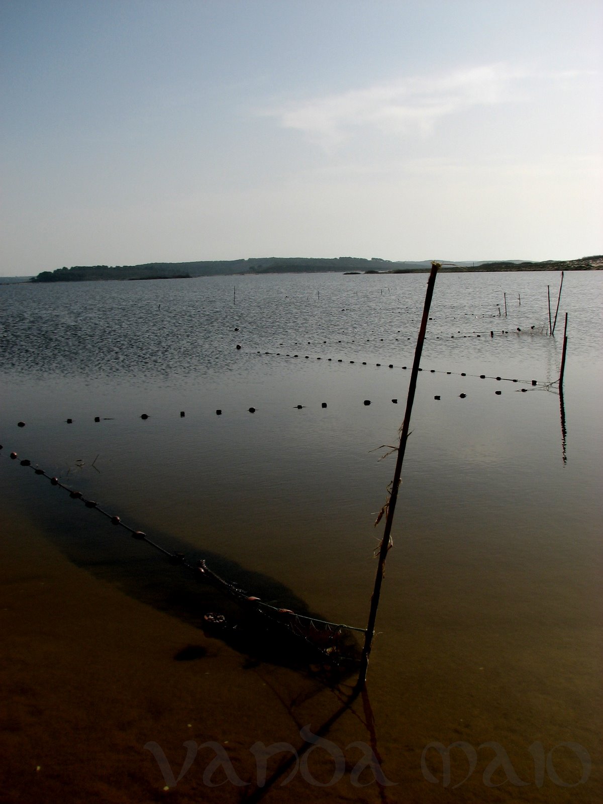 [IMG_5705.JPG]