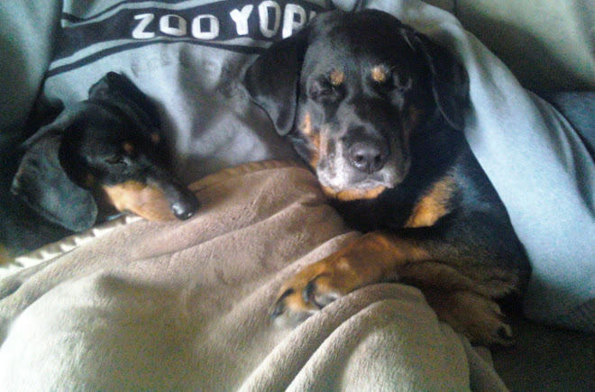 Zoo York