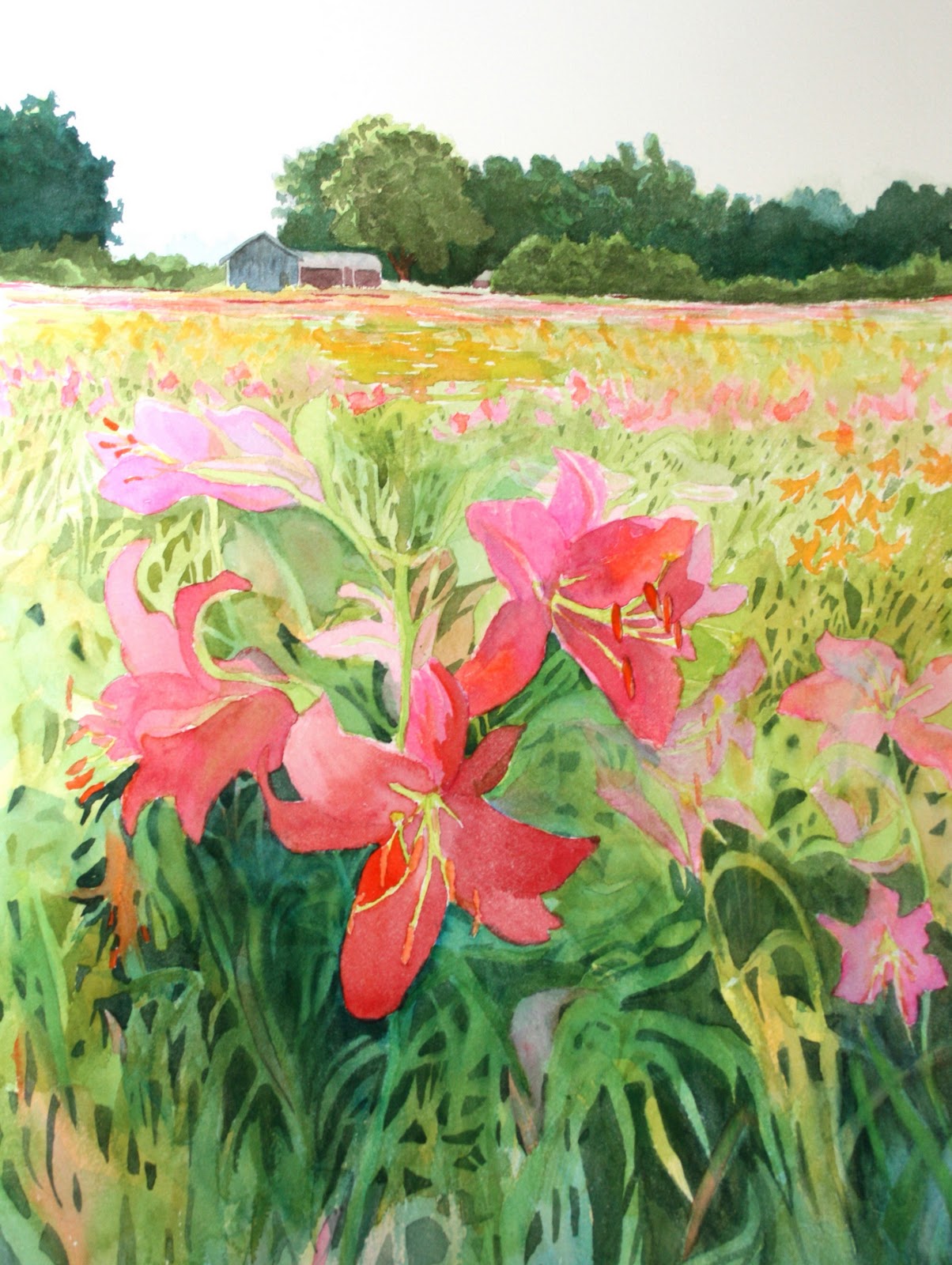 Lily Field