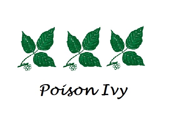 poison ivy vines on trees. poison ivy vine tattoo. poison