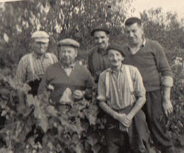 Vendanges 1960