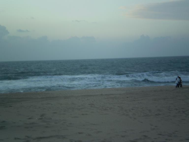[PB250144.jpg]