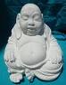 This one looks so much like my baby buddha bellies