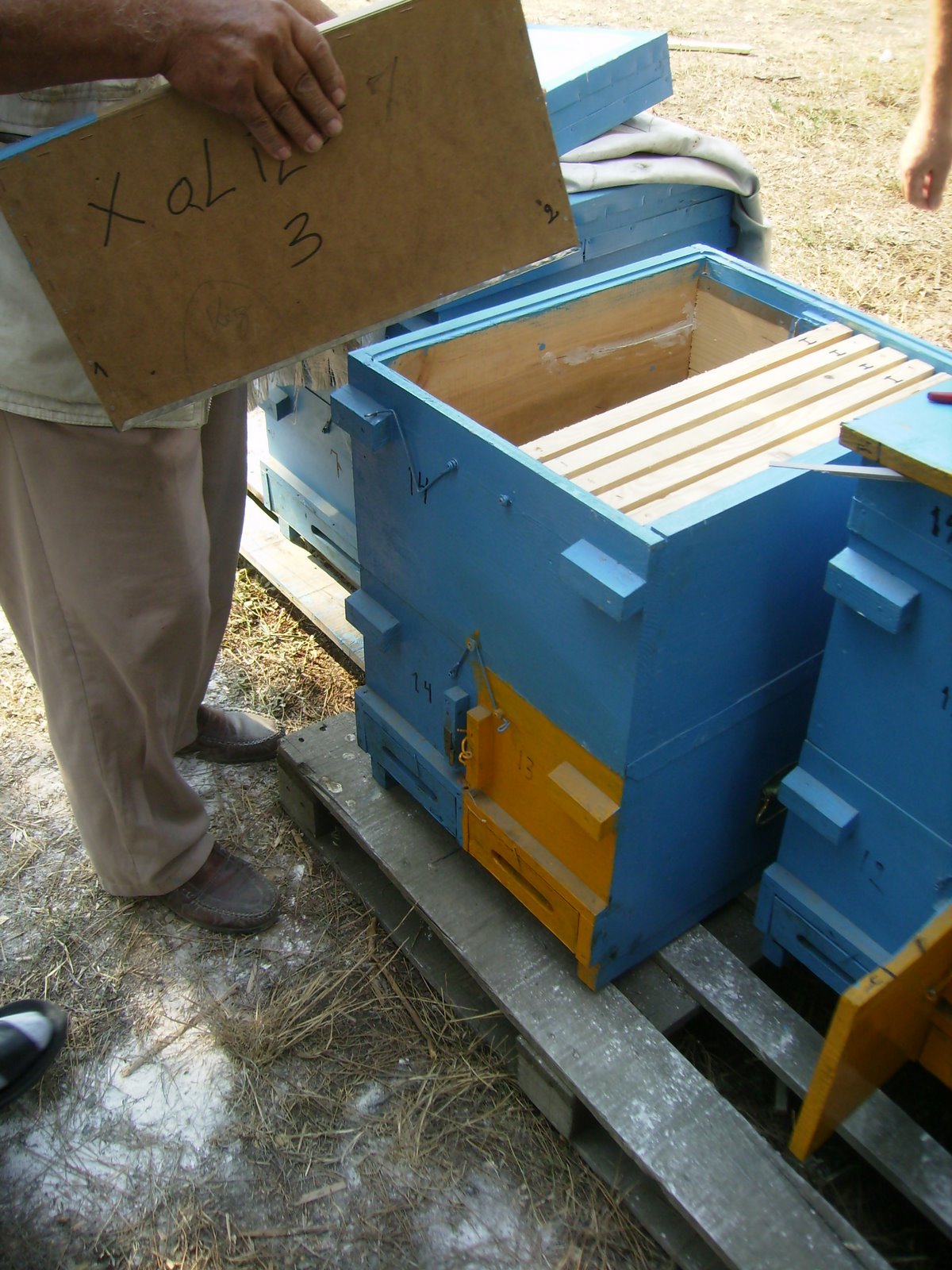 [P8290150.JPG]