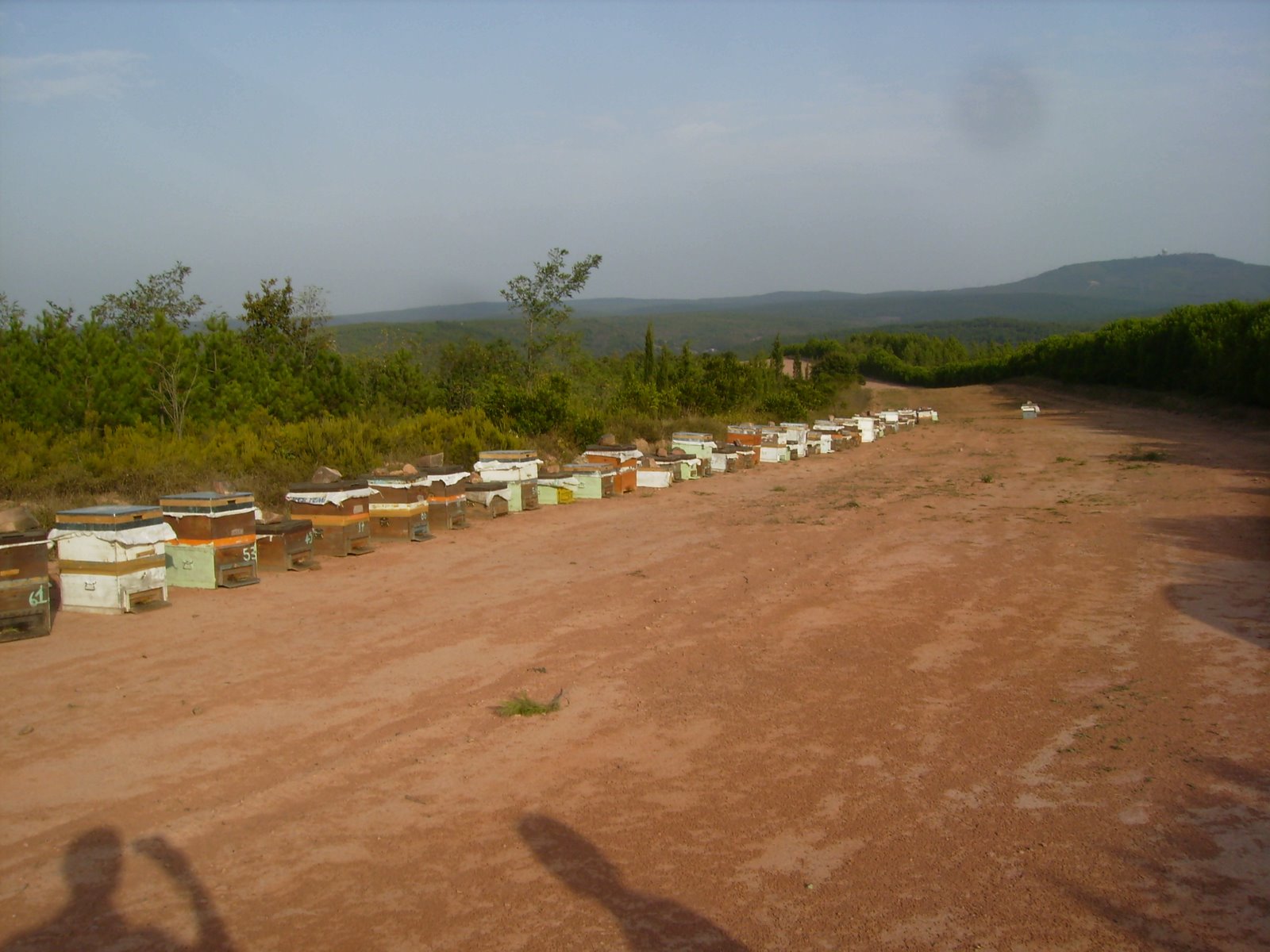 [P9150019.JPG]