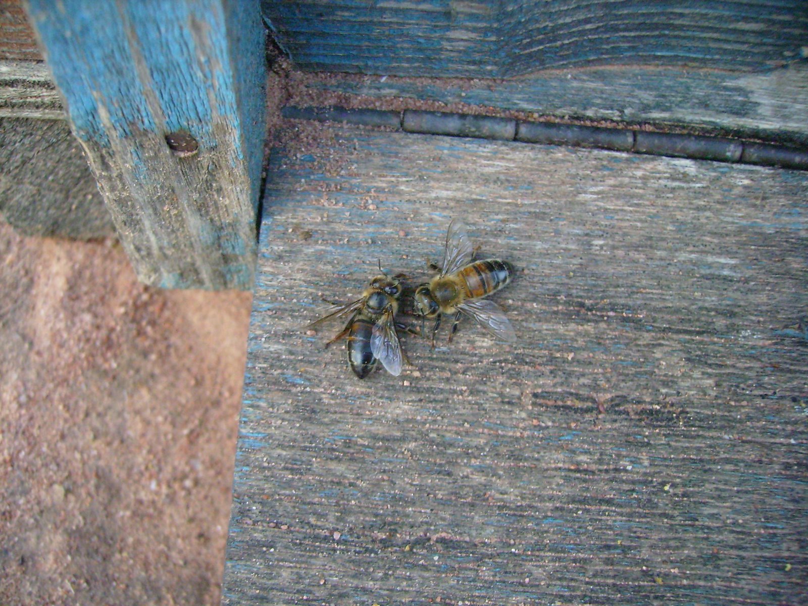[PA090079.JPG]