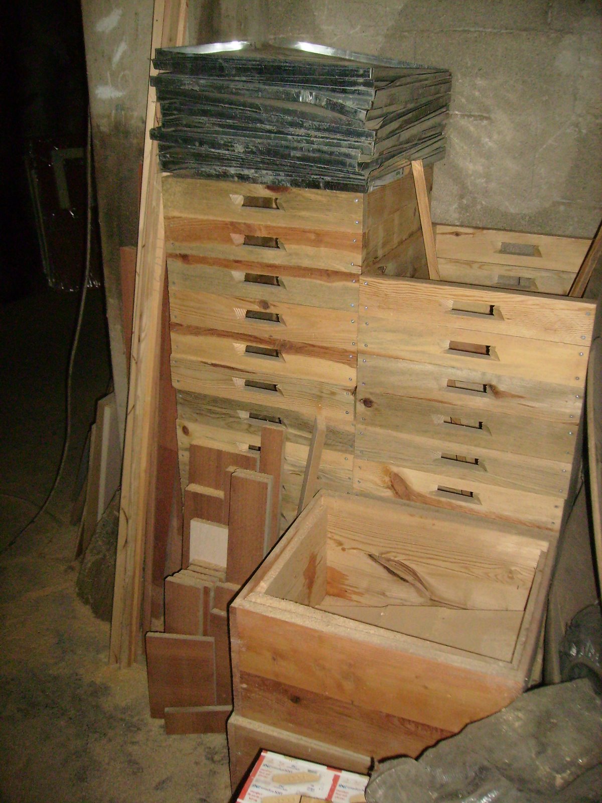 [PB150038.JPG]