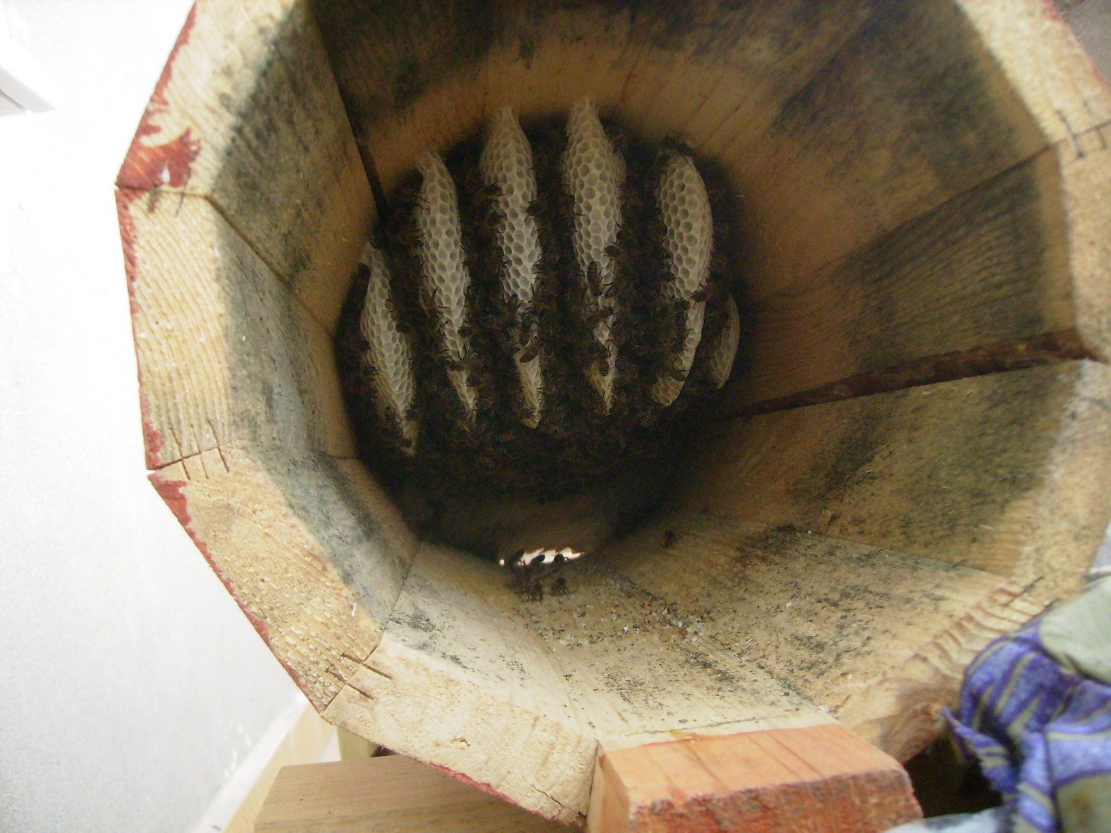[PB170006.JPG]