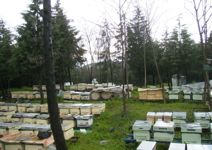 [14martmkabaoglu0908.JPG]