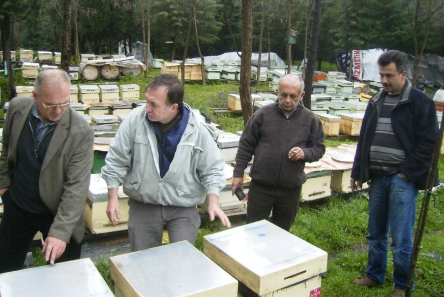 [14martmkabaoglu0903.JPG]