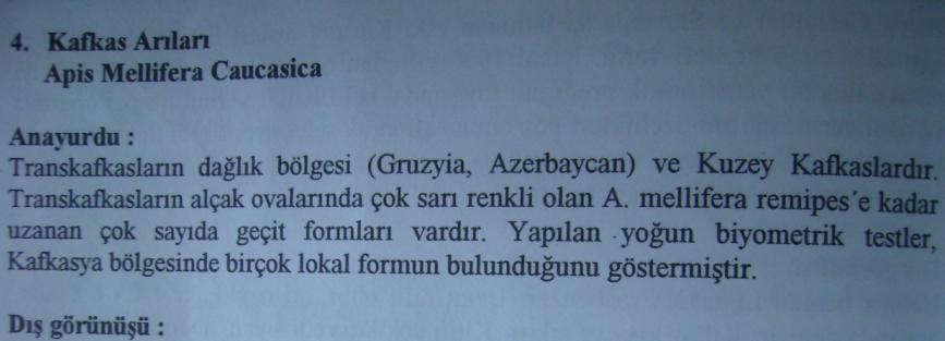 [0002.JPG]