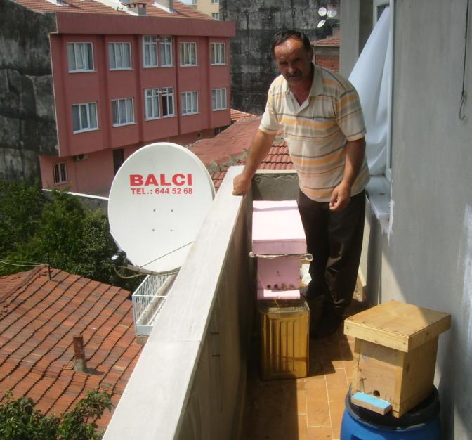 [2temmuz200904.JPG]