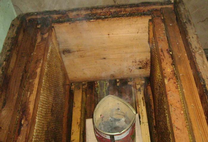 [16agustos200902.JPG]