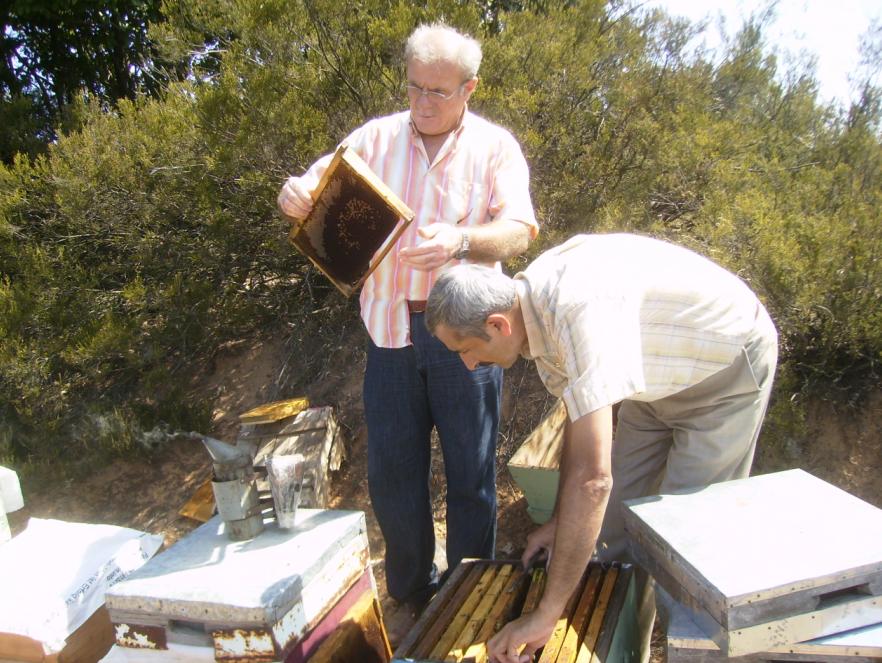 [3eylÃ¼l200902.JPG]