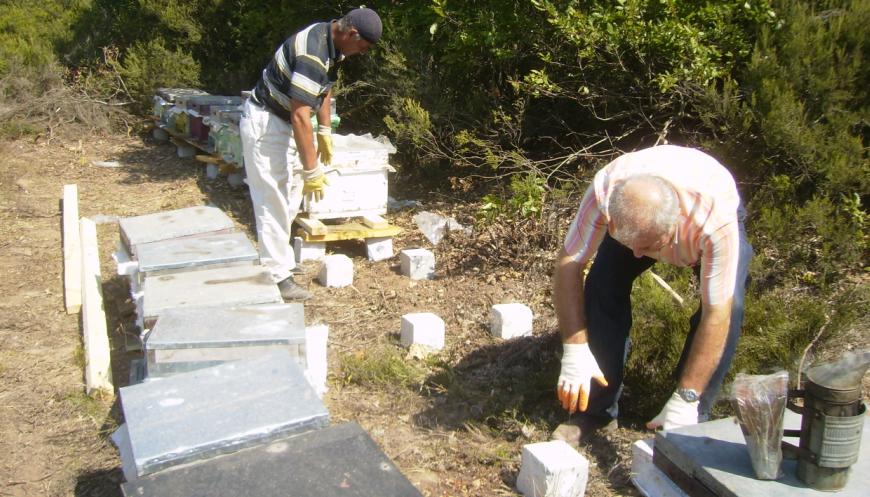 [3eylÃ¼l200906.JPG]