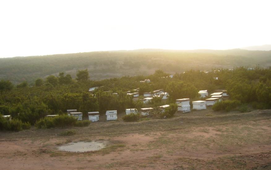 [10eylÃ¼l200906.JPG]