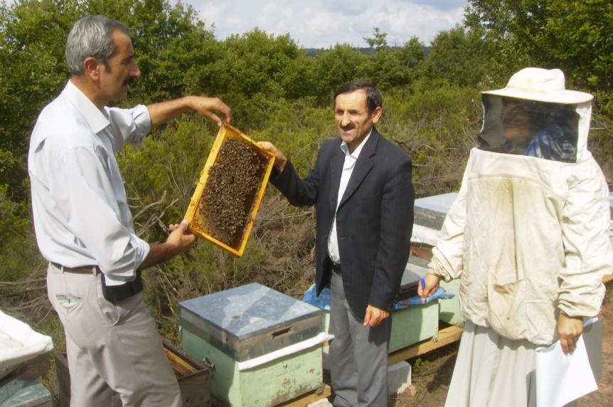 [18eylÃ¼l200902.JPG]