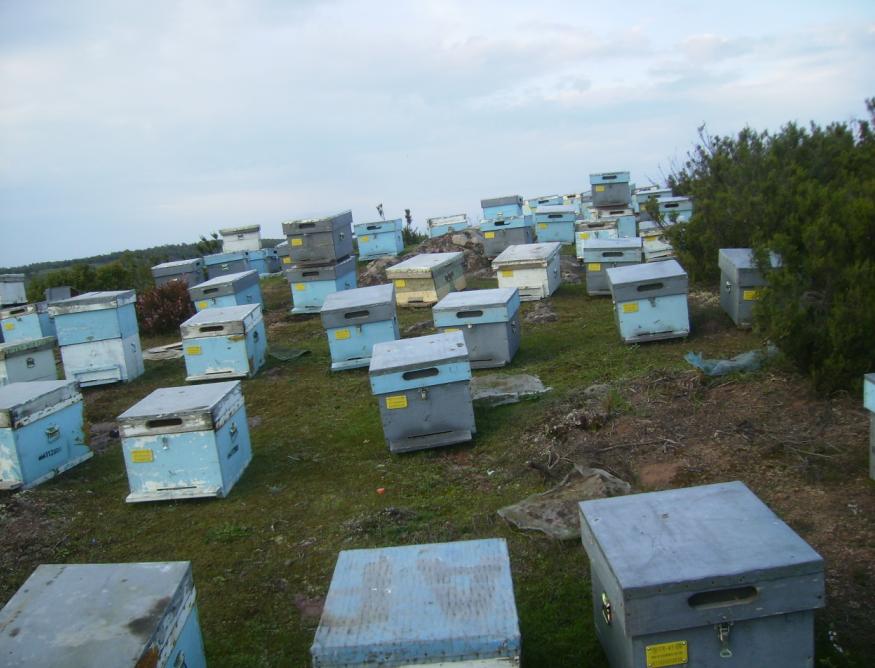 [15ekim200907.JPG]