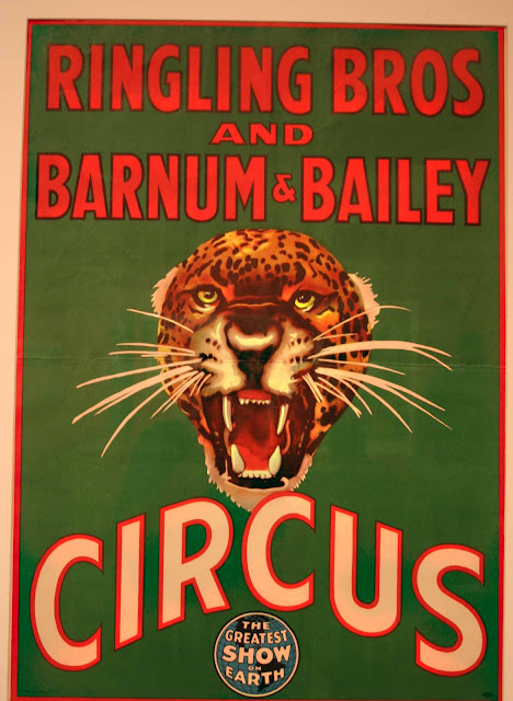Circus Phrases