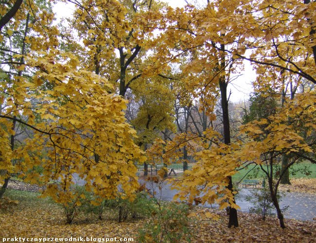 Podgórze Park imienia Wojciecha Bednarskiego