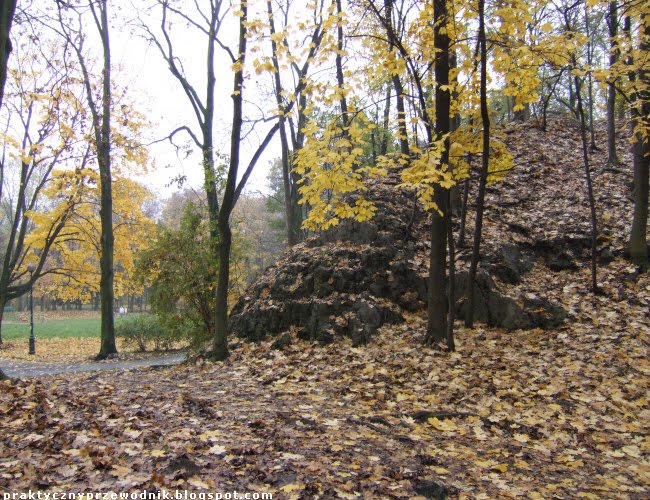 Park Bednarskiego w Krakowie