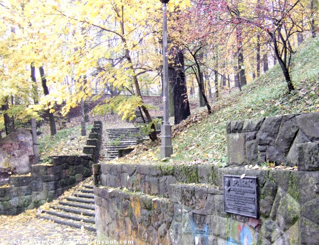 zdjęcia park Bednarskiego