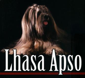 LHASA APSO