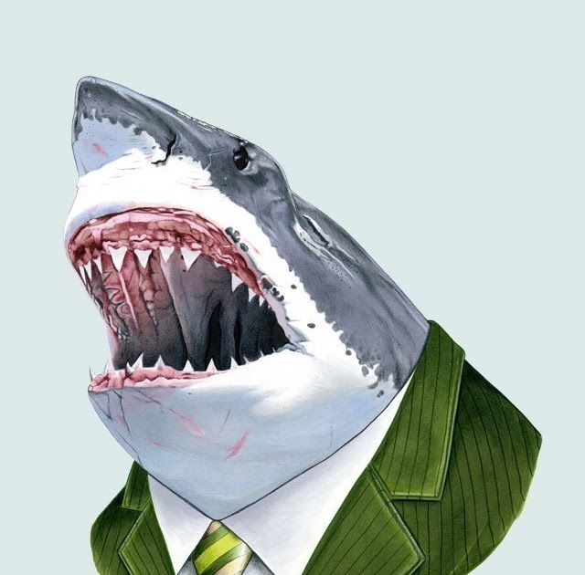 Mark J Jeffries' Blog SHARK SUIT.