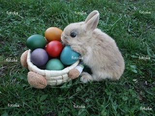 Easter bunny with Easter colorful Eggs basket in the garden or lawn sexy photo