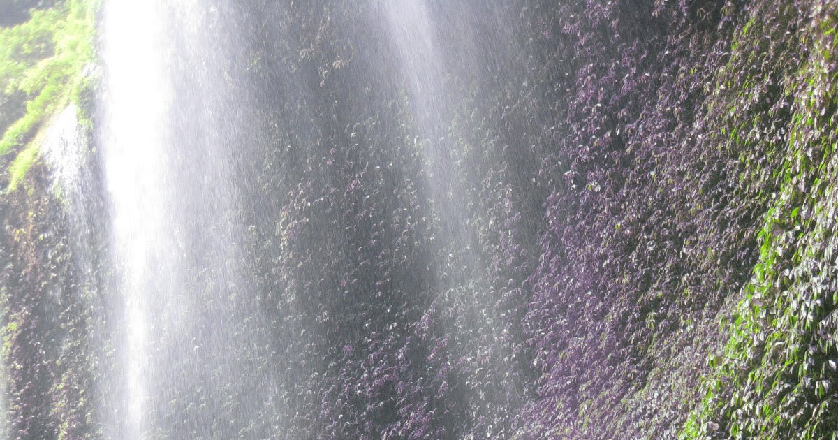 Madakaripura Waterfall
