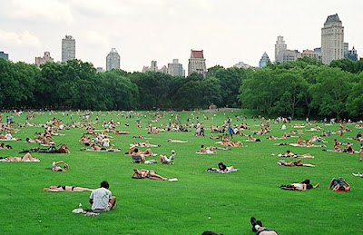 central-park-in-summer.jpg