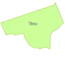 TIBAU