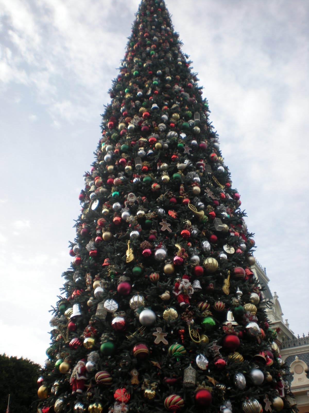 [DSCN2642.JPG]
