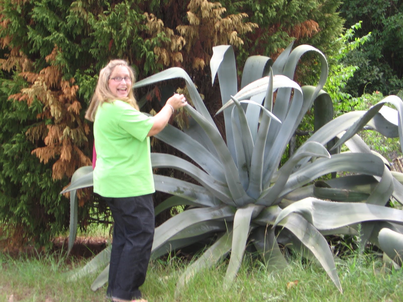 Crowley, Party of 6!! September!