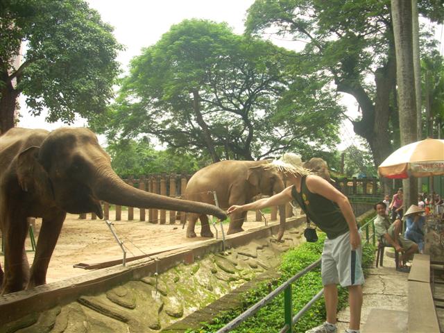 [DSCN0024+(Small).JPG]