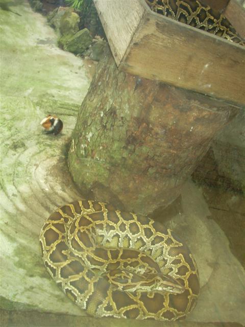 [DSCN0020+(Small).JPG]