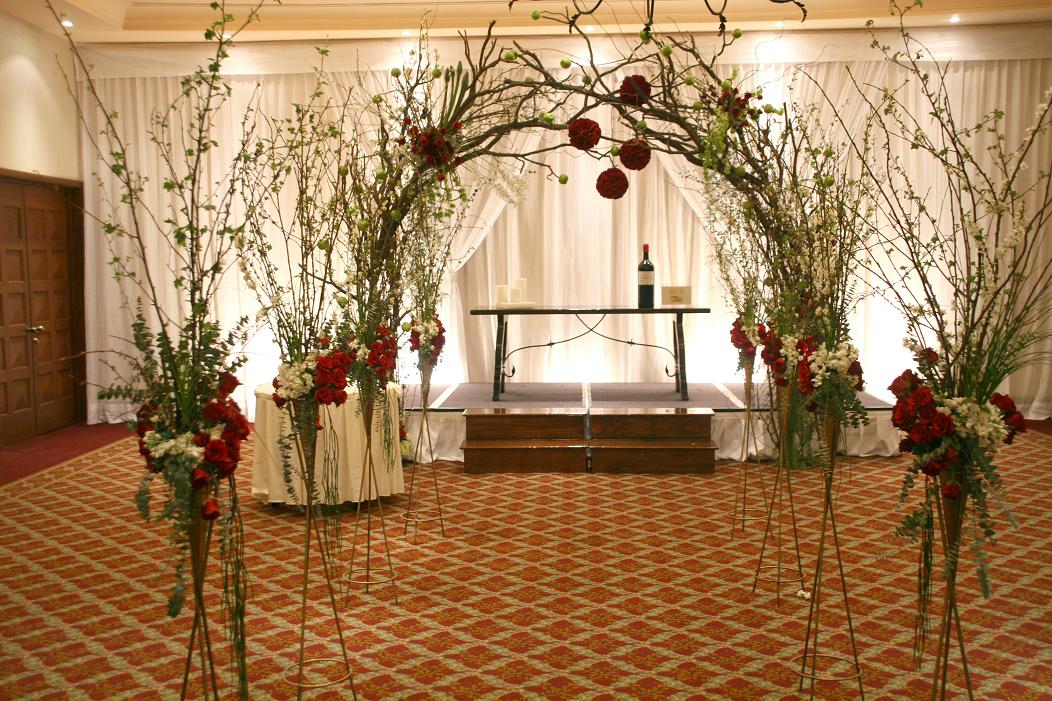 Historias felinas para la noche y el día: Ideas para armar un arco de