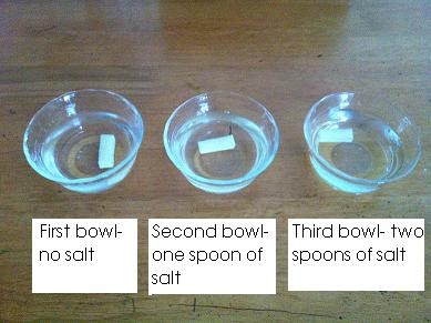 Science Performance Task 2011: Some experiments to help you understand