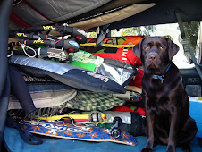traveling will look a bit like this . .