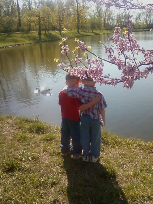 Relaxing By The Pond