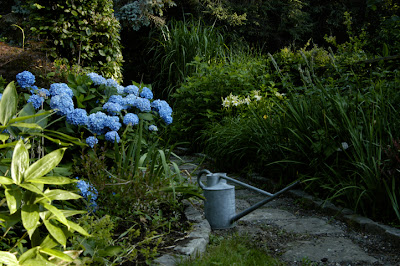 Teresa S Garden Song I Love Hostas Perfect Shade Garden Perennial