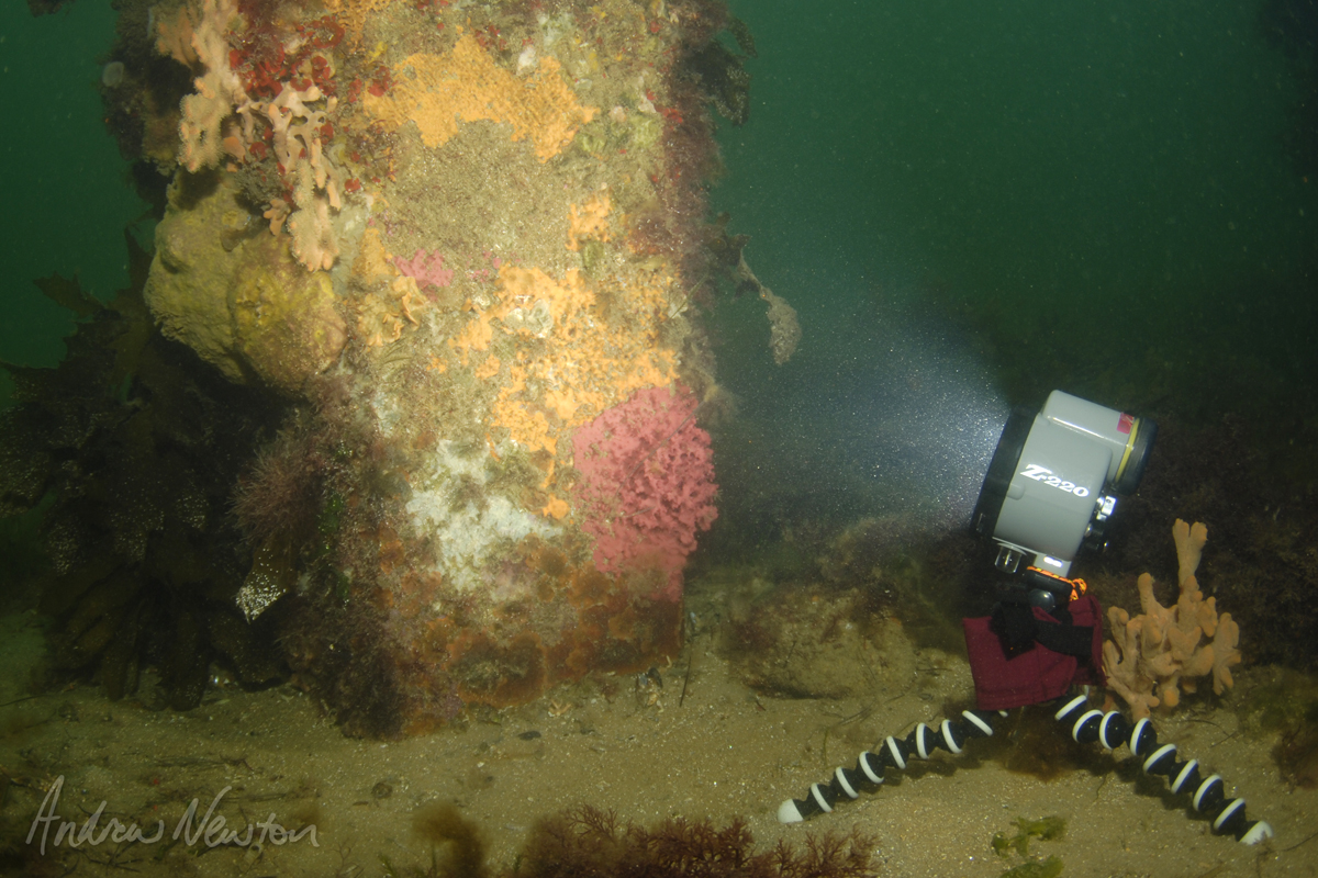 Andrew Newton Underwater Offcamera underwater strobe