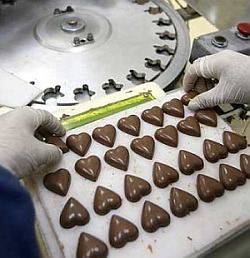 beryl’s chocolate and confectionary sdn bhd 3 company background beryl’s chocolate and confectionary sdn bhd (beryl’s) was created with one aim in mind. beryl’s chocolate and confectionary sdn bhd 3 company background beryl’s chocolate and confectionary sdn bhd (beryl’s) was created with one aim in mind.