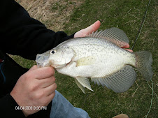 Spring Fly Fishing