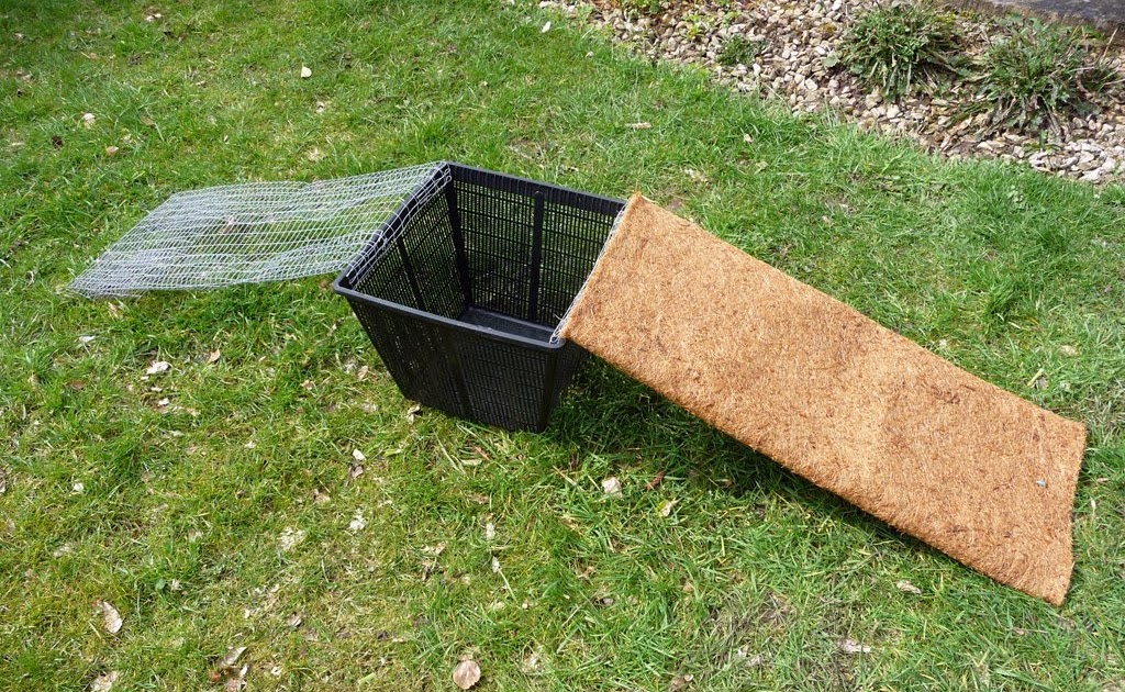 Keeping Reptiles Al Fresco Turtle Ramps