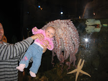 Fun at the Seattle Aquarium