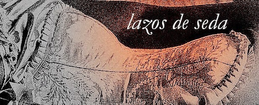 lazos de seda