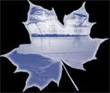 WDC graphic