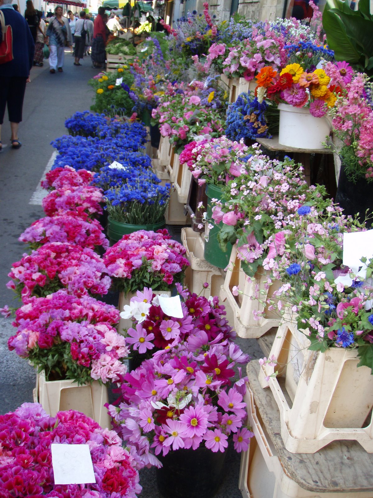 [market+flowers.JPG]