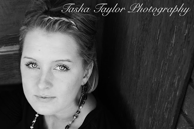 Tasha Taylor Photography